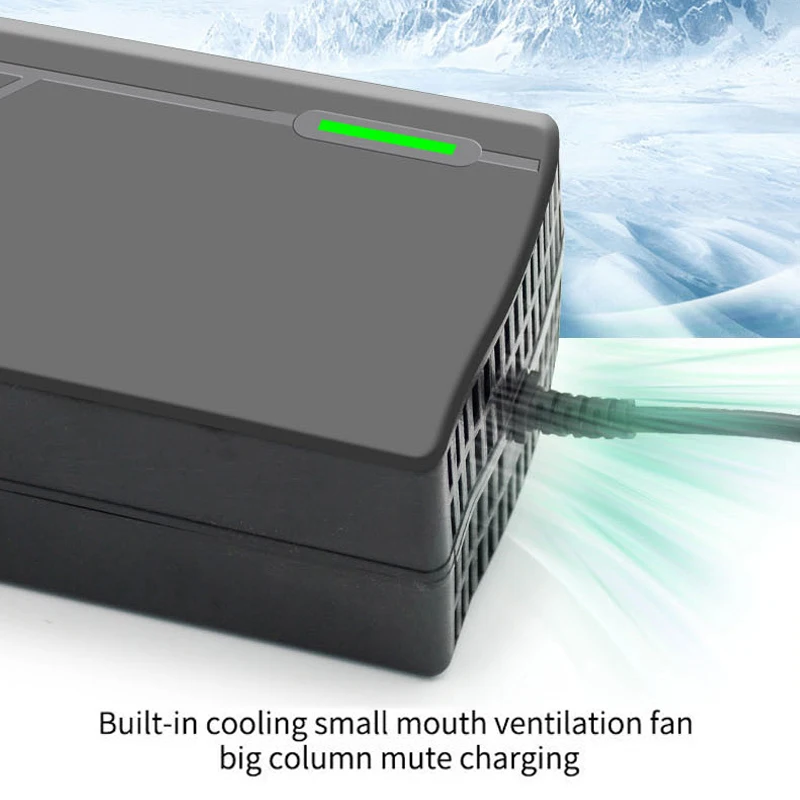36V 48V 60V 72V 충전기 2A 3A 5A 1 - 84V 20A Smart Charger 리뷰 및 가격