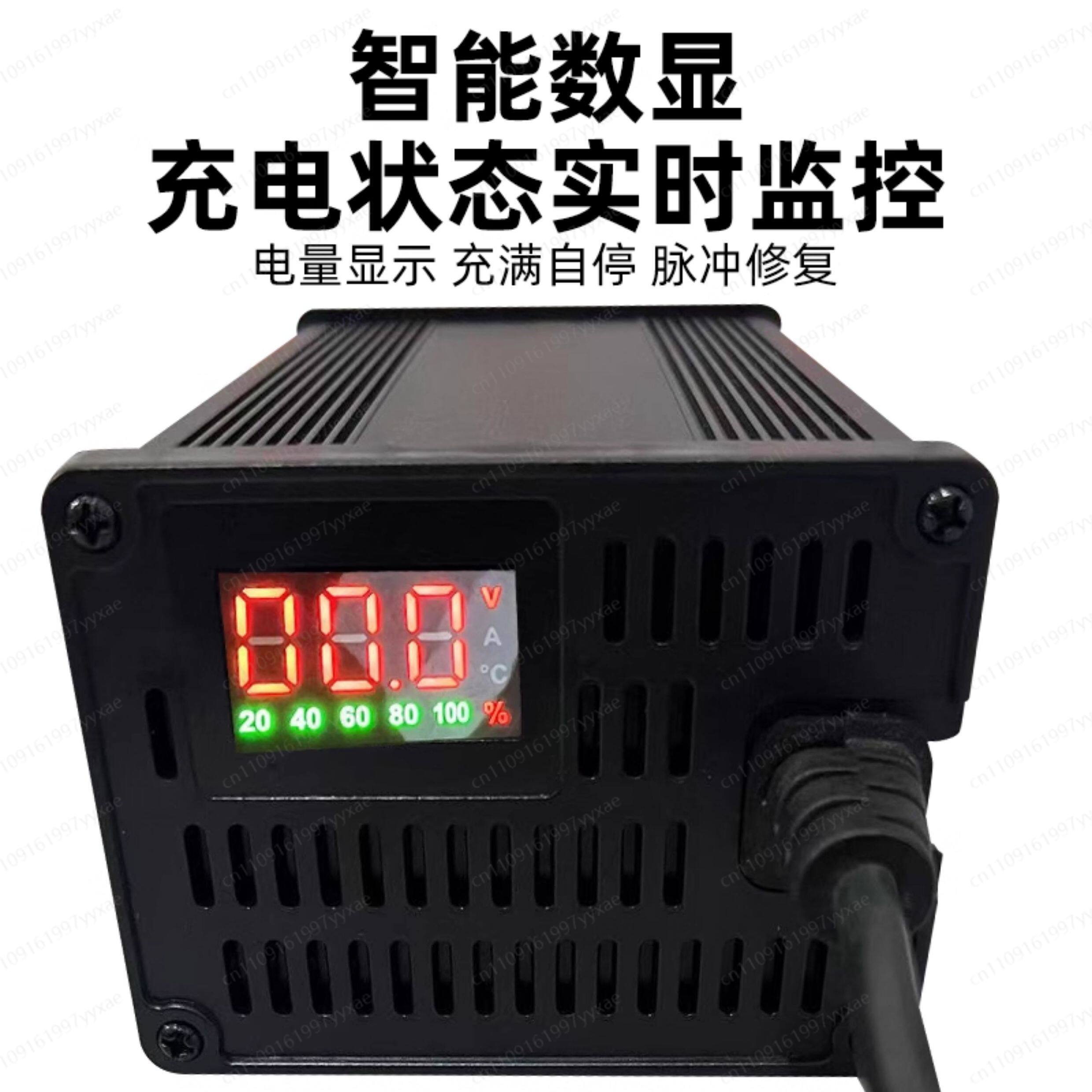 48V 60V 72V 스마트 LiFePO4 리튬이온 충 - 72V 15A Fast Charger 리뷰 및 가격