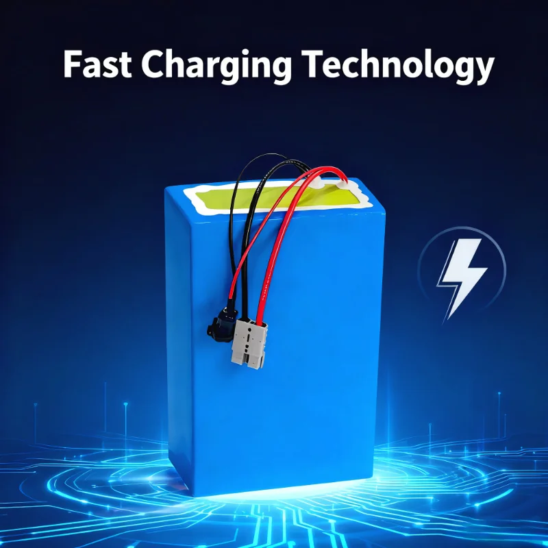 BMS 72V 리튬이온 배터리 팩 20Ah/30Ah/5 - 72V 40Ah Lifepo4 Battery Pack 리뷰 및 가격